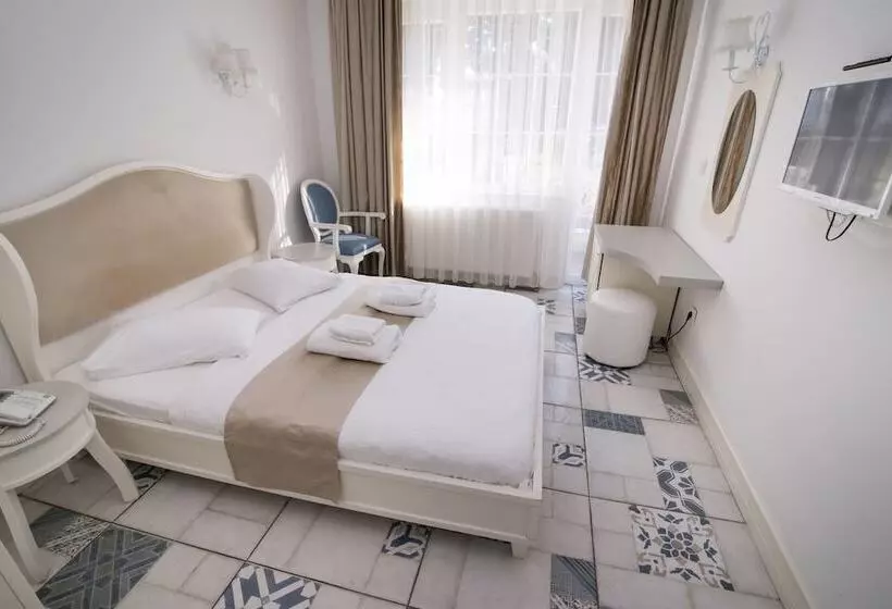 ホテル Buyukada Cankaya