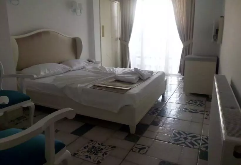 ホテル Buyukada Cankaya