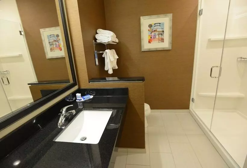 فندق Fairfield Inn & Suites By Marriott Bowling Green