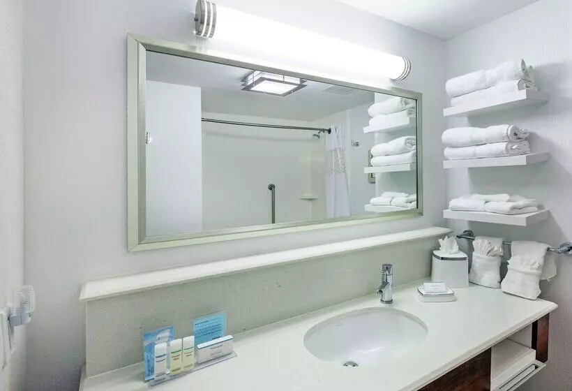 ホテル Hampton Inn & Suites By Hilton Houston North Iah