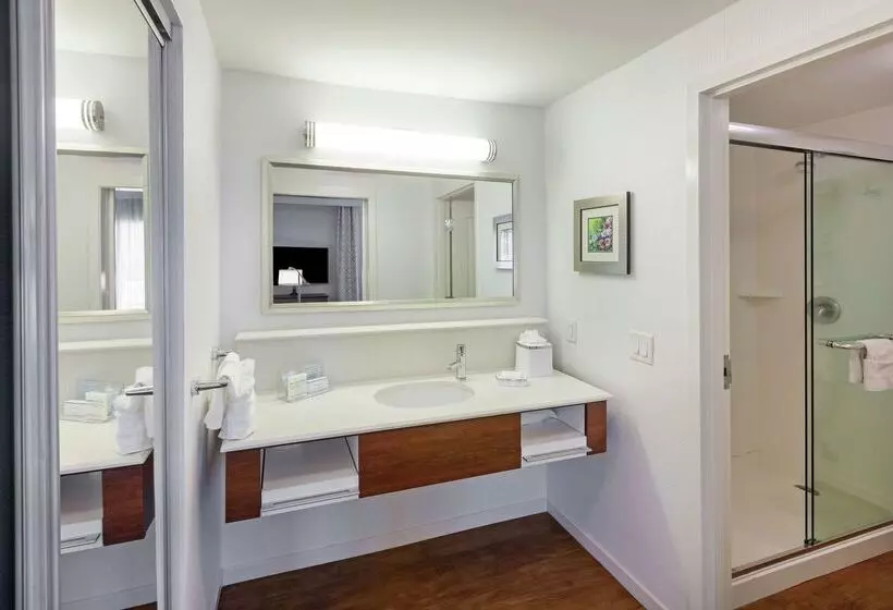 ホテル Hampton Inn & Suites By Hilton Houston North Iah