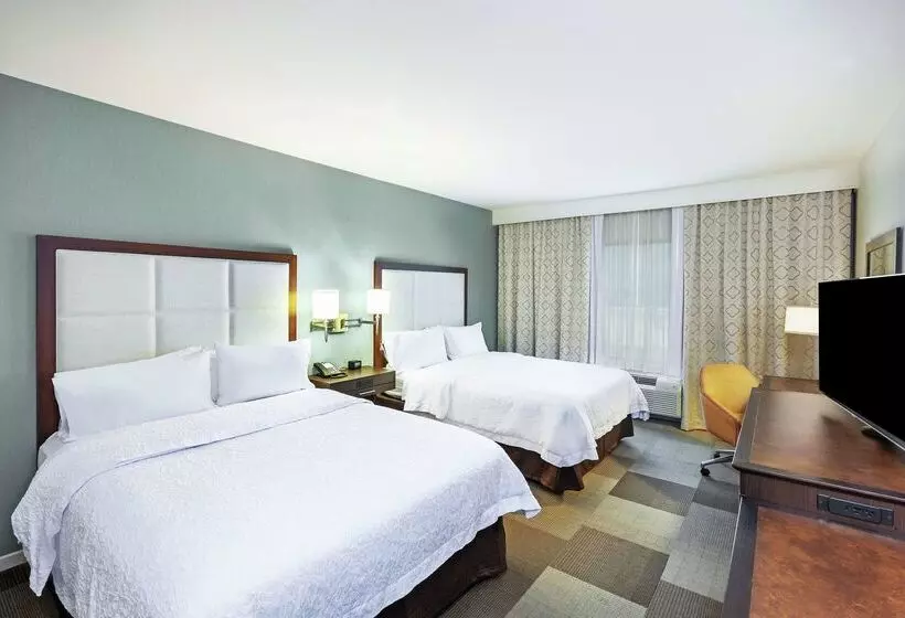 ホテル Hampton Inn & Suites By Hilton Houston North Iah