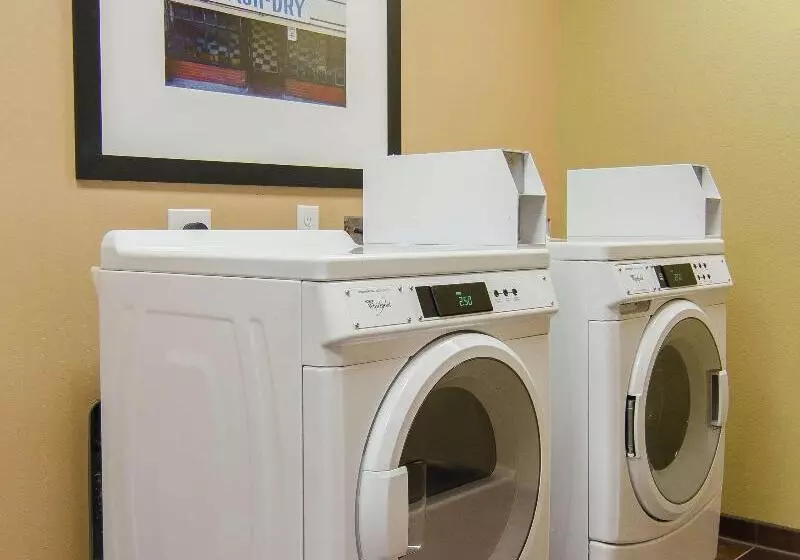 ホテル Hampton Inn & Suites By Hilton Houston North Iah