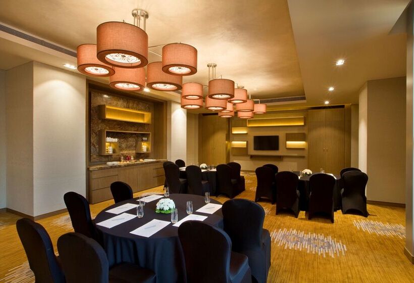 هتل Hyatt Regency Ahmedabad