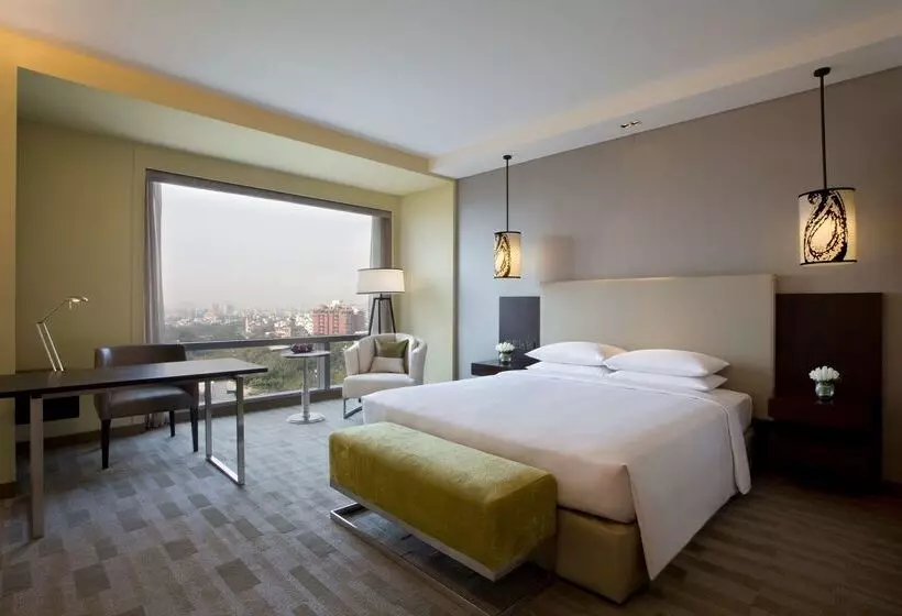 Hotel Hyatt Regency Ahmedabad