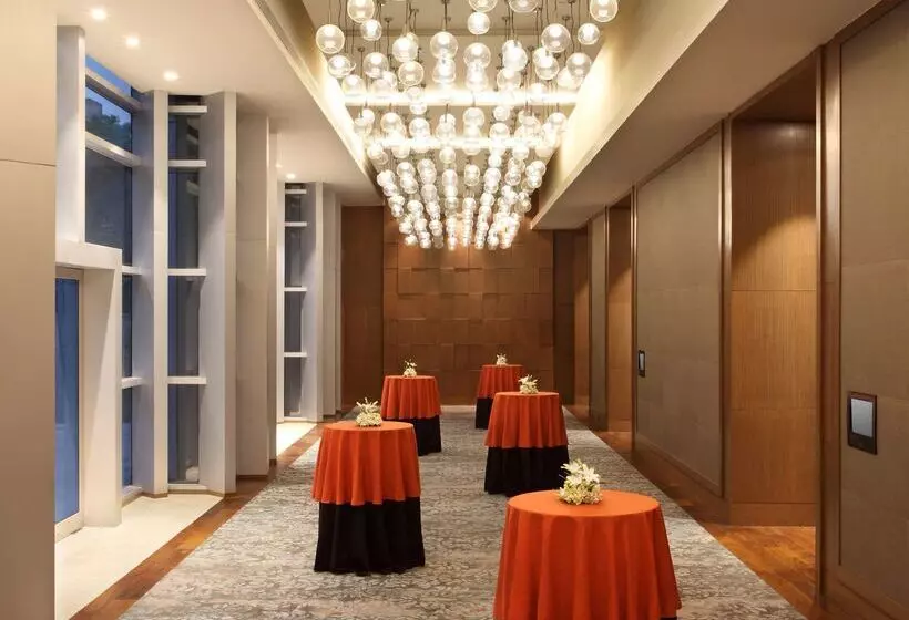 Hotel Hyatt Regency Ahmedabad