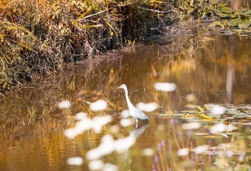 בית מלון כפרי Kasteel Pietersheim