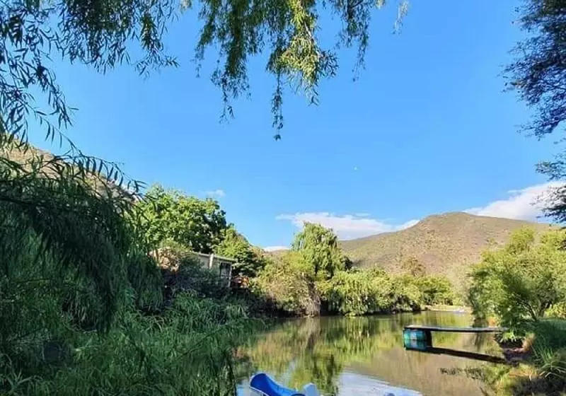 ホテル Old Mill Lodge, Seasonal Working Ostrich Farm & Restaurant, Oudtshoorn