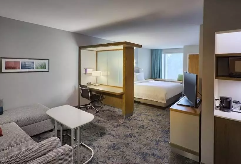 ホテル Springhill Suites By Marriott Wilmington Wrightsville Beach