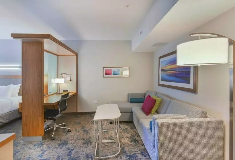 ホテル Springhill Suites By Marriott Wilmington Wrightsville Beach