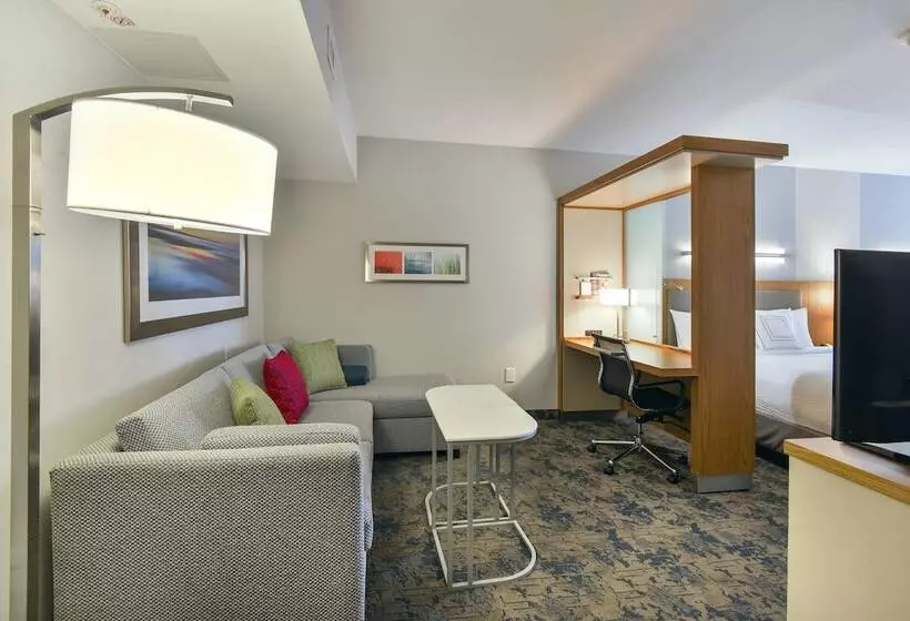 ホテル Springhill Suites By Marriott Wilmington Wrightsville Beach