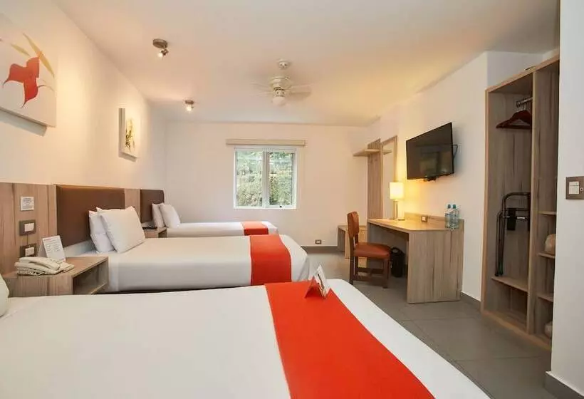 酒店 Casa Andina Standard Machu Picchu