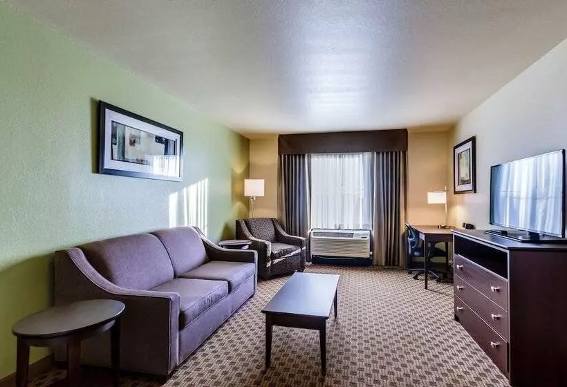 ホテル Cobblestone Inn & Suites Waverly