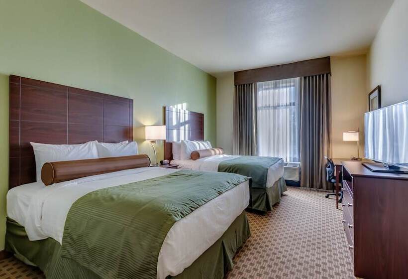 בית מלון כפרי Cobblestone Inn & Suites   Waverly