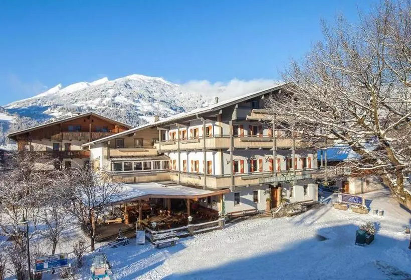 Отель Erzherzog Johann