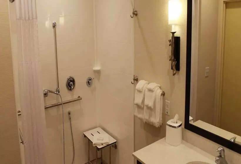 Отель Hampton Inn & Suites Stroudsburg Pocono Mountains