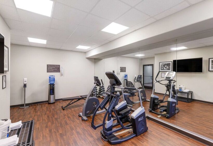 Hotel Sleep Inn & Suites Carlsbad Caverns Area