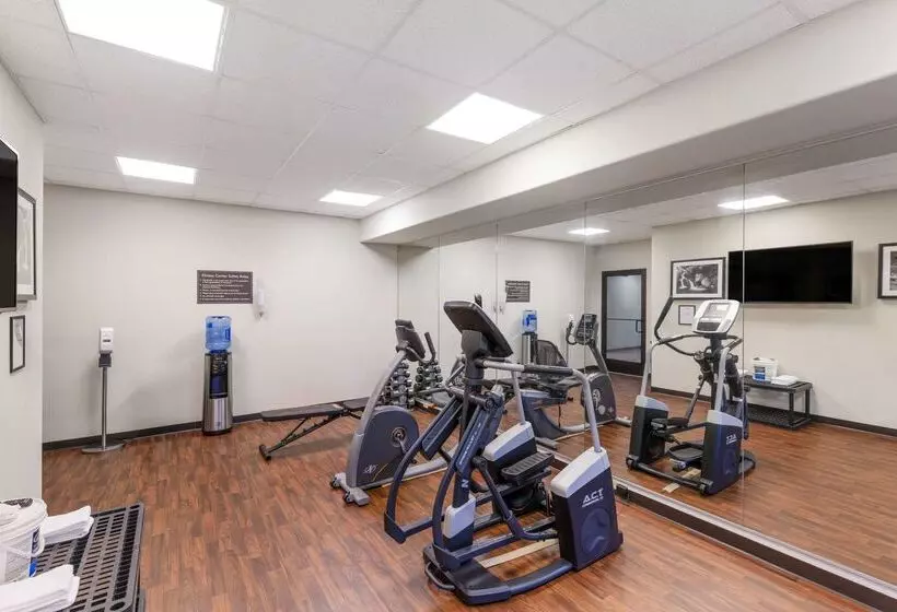 酒店 Sleep Inn & Suites Carlsbad Caverns Area