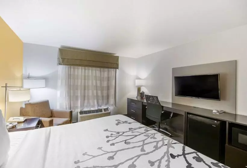 酒店 Sleep Inn & Suites Carlsbad Caverns Area