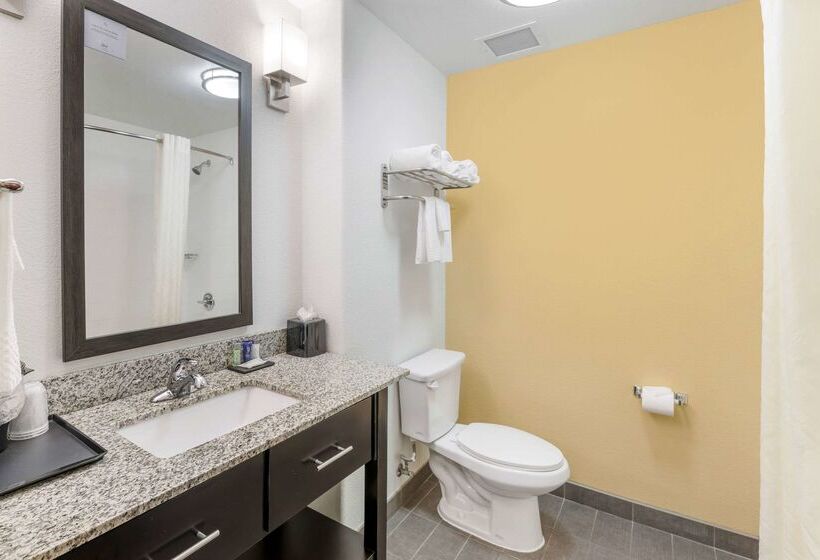 Hotel Sleep Inn & Suites Carlsbad Caverns Area