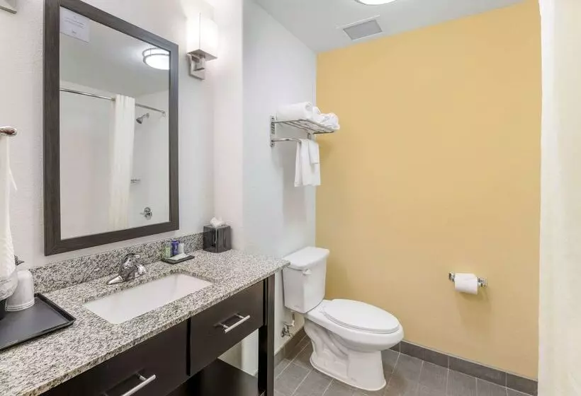 酒店 Sleep Inn & Suites Carlsbad Caverns Area