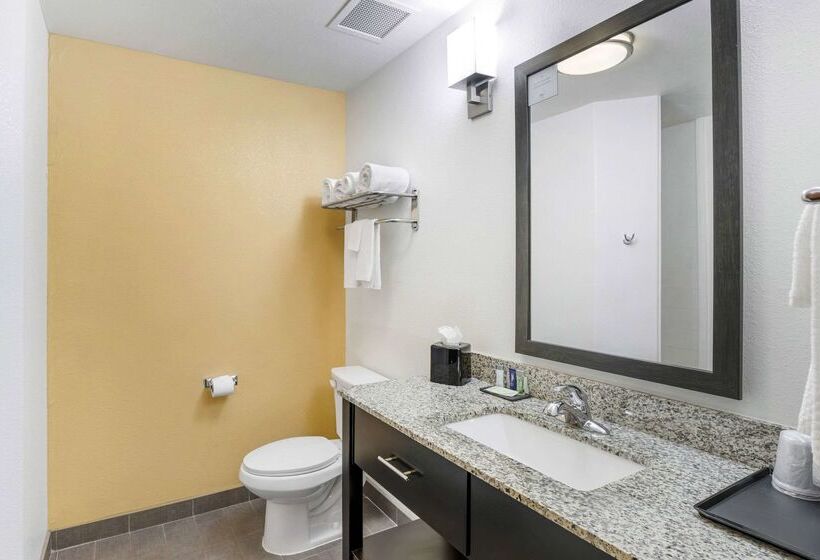 Hotel Sleep Inn & Suites Carlsbad Caverns Area