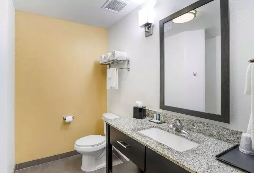 酒店 Sleep Inn & Suites Carlsbad Caverns Area