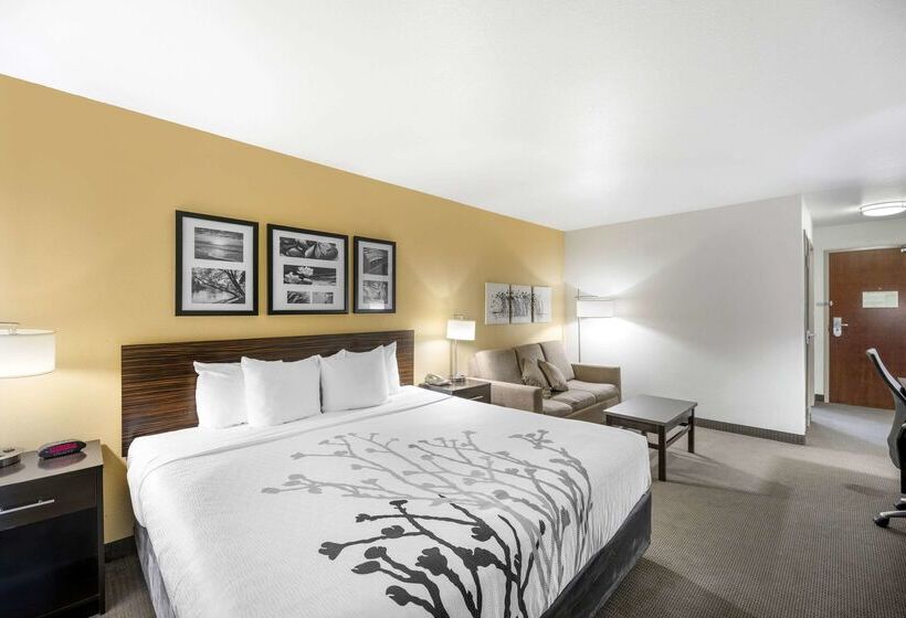 Hotel Sleep Inn & Suites Carlsbad Caverns Area