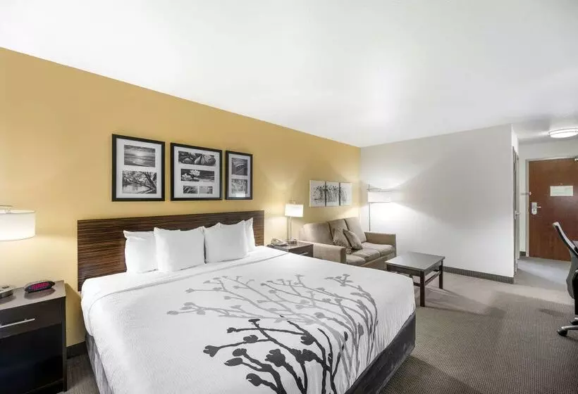 酒店 Sleep Inn & Suites Carlsbad Caverns Area