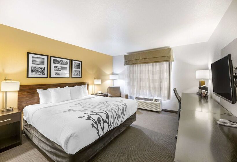 Hotel Sleep Inn & Suites Carlsbad Caverns Area