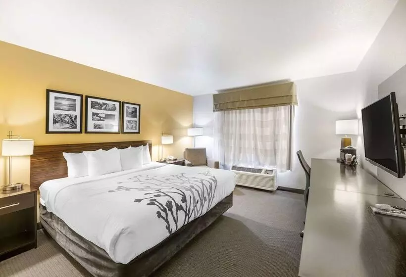 酒店 Sleep Inn & Suites Carlsbad Caverns Area