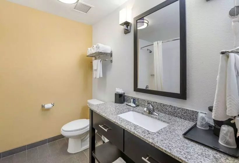 酒店 Sleep Inn & Suites Carlsbad Caverns Area