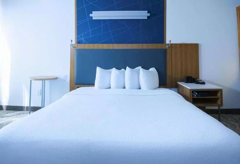 酒店 Springhill Suites By Marriott Dallas Lewisville