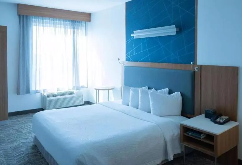 酒店 Springhill Suites By Marriott Dallas Lewisville