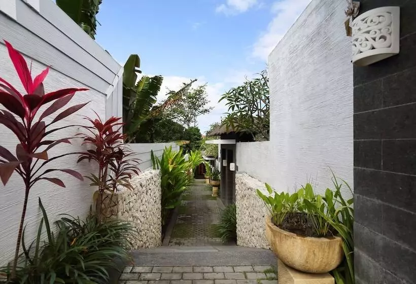 White Goose Boutique