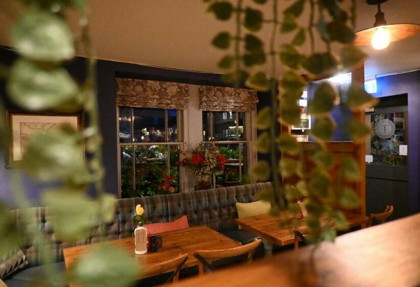 فندق صغير The Temple Inn