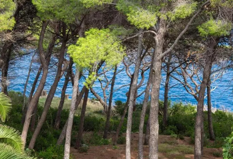 Allegroitalia Elba Capo D Arco