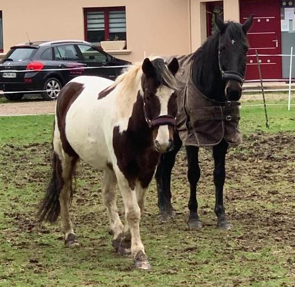 住宿加早餐  Chez Kate Et Lolo