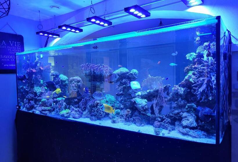 住宿加早餐  Chez Kate Et Lolo