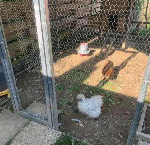 Aamiaismajoitus (B&B) Les Terrasses De Rochetaillée