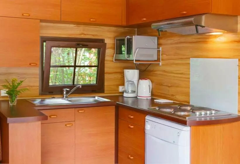 Disney Davy Crockett Ranch