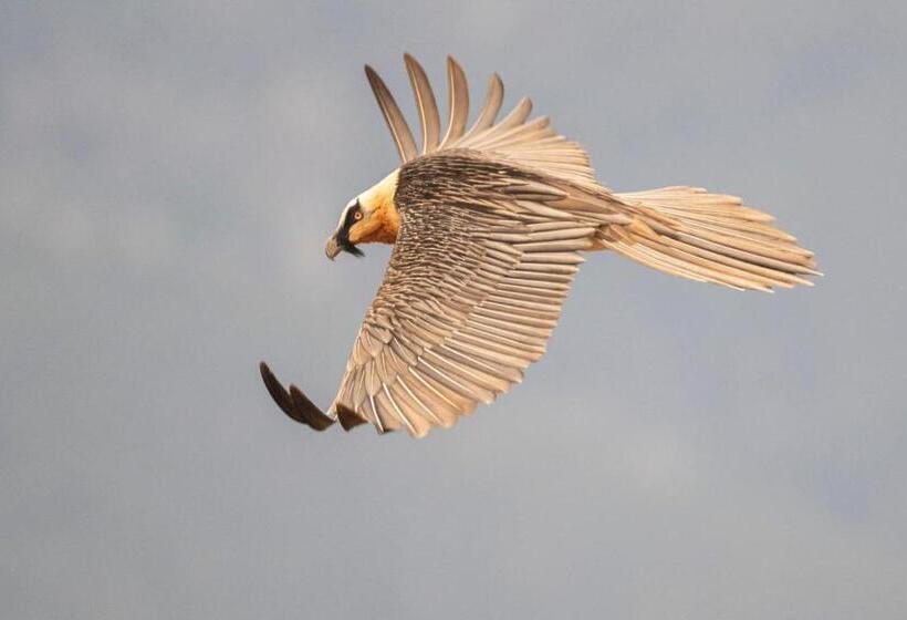 Отель De Montaña Lamiana