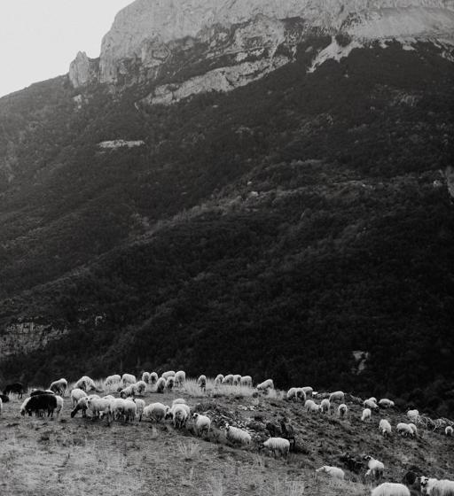 Отель De Montaña Lamiana