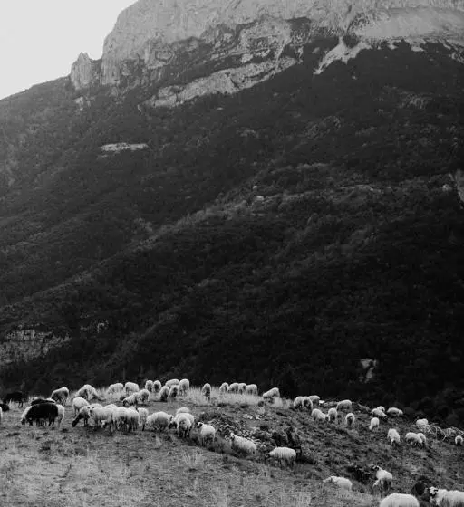 ホテル De Montaña Lamiana