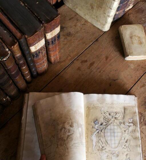 בית מלון כפרי Fugl Fønix