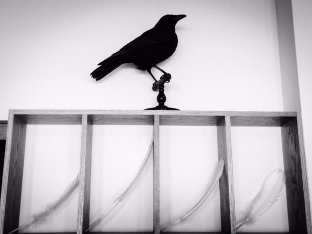 בית מלון כפרי Fugl Fønix