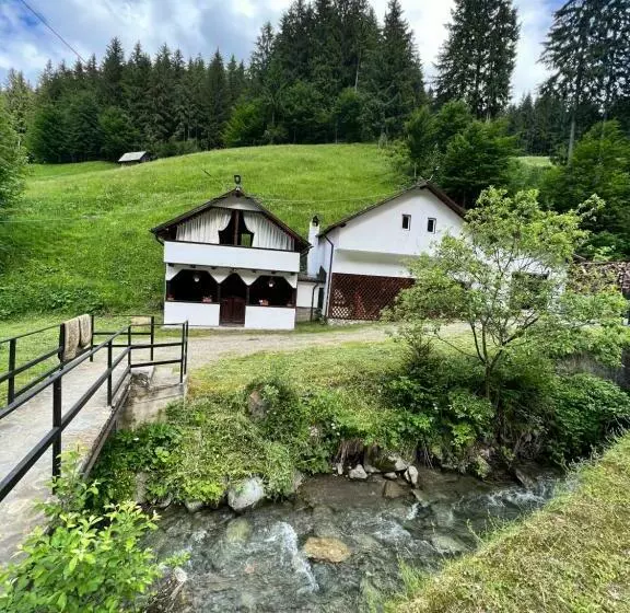 ペンション Căsuța De Lângă Pădure