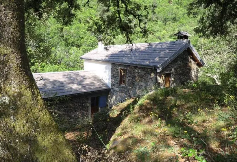 Transgardon B&b En Cévennes