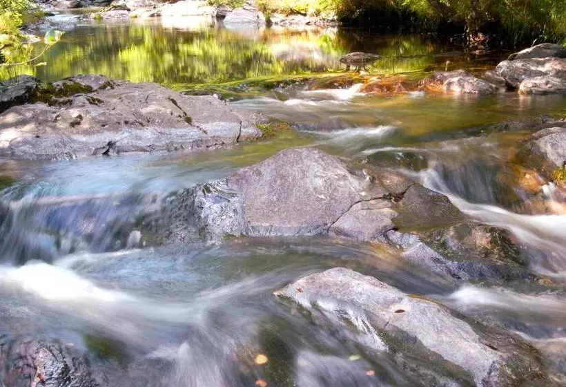 Transgardon B&b En Cévennes
