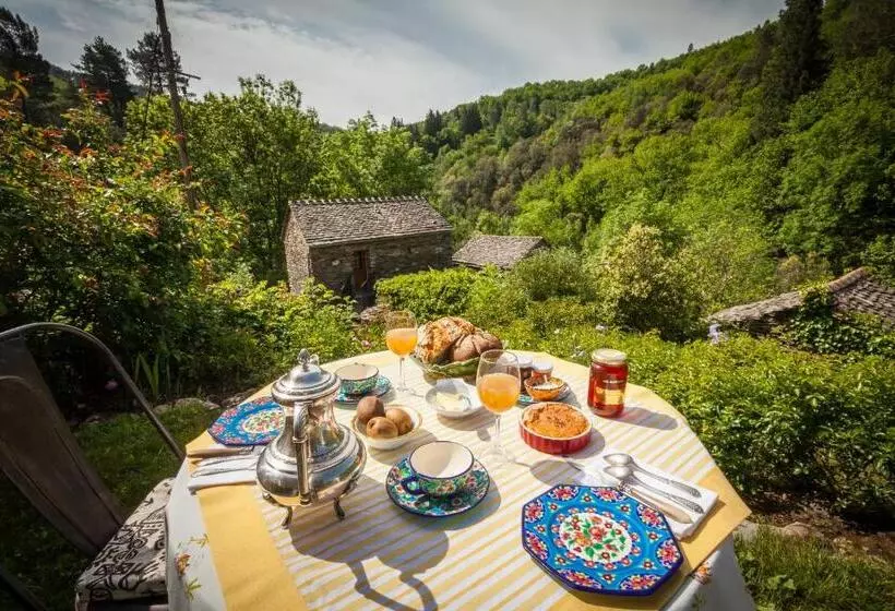 Transgardon B&b En Cévennes